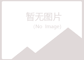 青海夏日建设有限公司